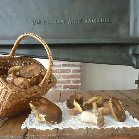 Bed & Breakfast Domaine De La Tannerie D'hotes Et