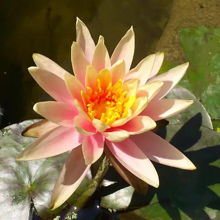 Domaine De La Tannerie D'hotes Et