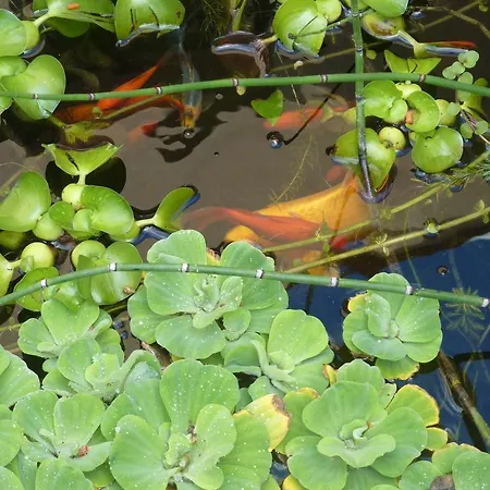 Domaine De La Tannerie D'hotes Et Bed & Breakfast 4*