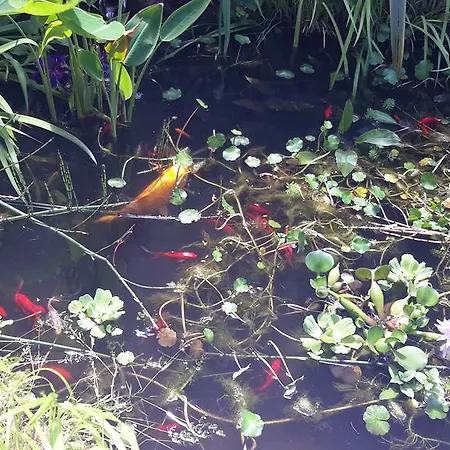 Domaine De La Tannerie D'hotes Et Bed & Breakfast