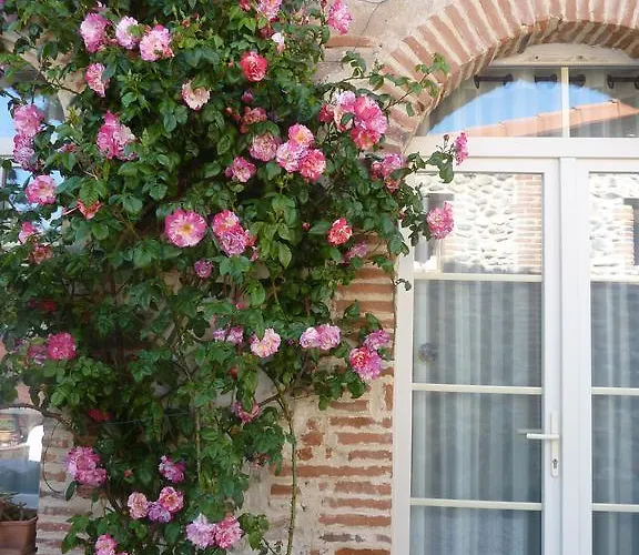Domaine De La Tannerie D'hotes Et 4* Prades (Pyrenees-Orientales)