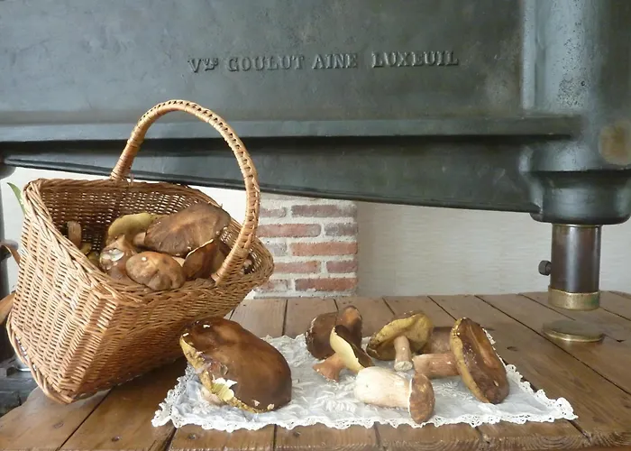 Bed & Breakfast Domaine De La Tannerie D'hotes Et